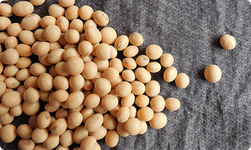(12) a Soya Beans.png